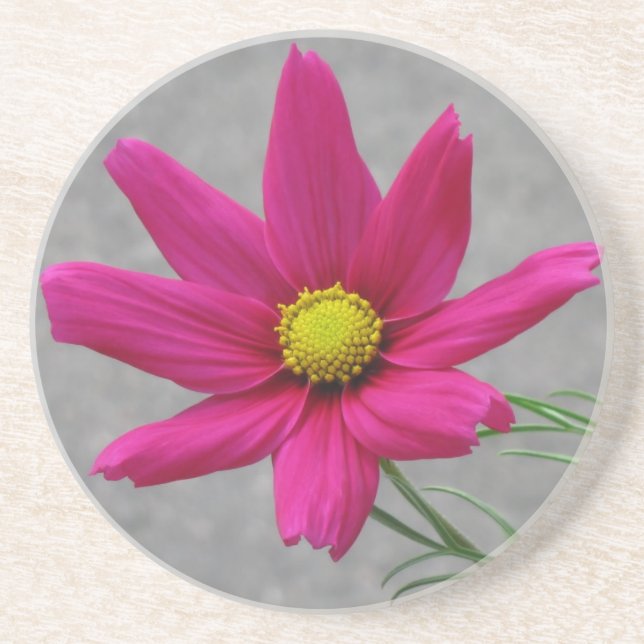 En Grès Dessous de verre personnalisé Fleur rose (Devant)