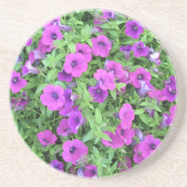 En Grès Dessous de verre Petunias violet (Devant)