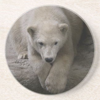 En Grès dessous de verre polaires