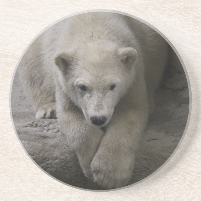 En Grès dessous de verre polaires (Devant)