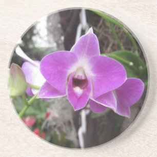 En Grès Dessous de verre pourpres d'orchidée de Dendrobiu