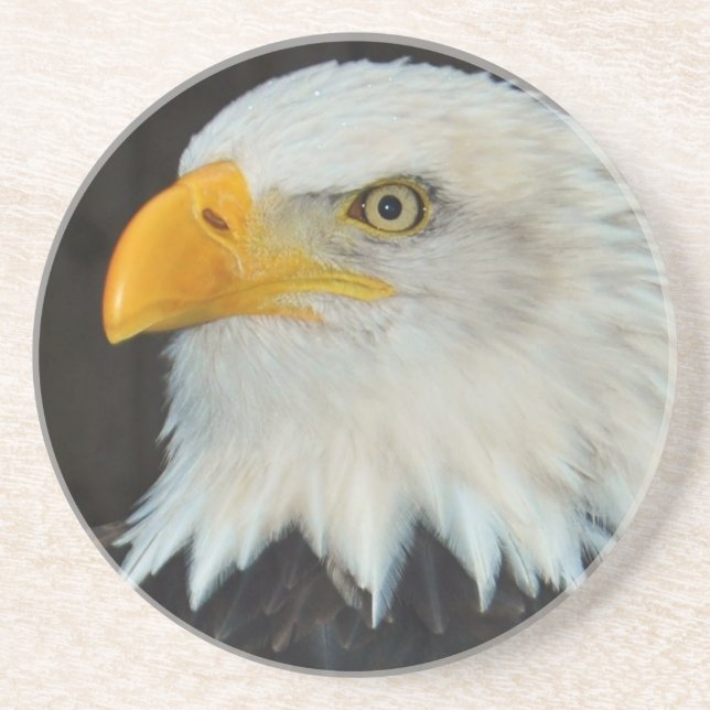 En Grès Dessous de verre principaux d'Eagle (Devant)