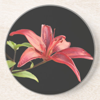 En Grès Dessous de verre Red Lily Sandstone