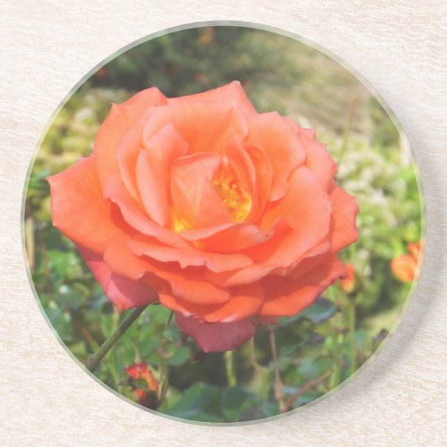 En Grès Dessous de verre Red Rose (Devant)