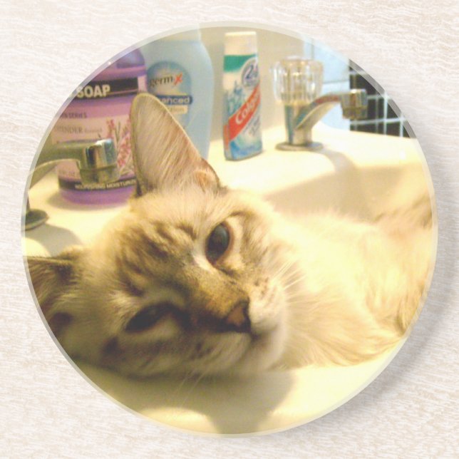 En Grès dessous de verre relaxed de minou (Devant)