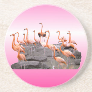 En Grès Dessous de verre roses de Flamant rose