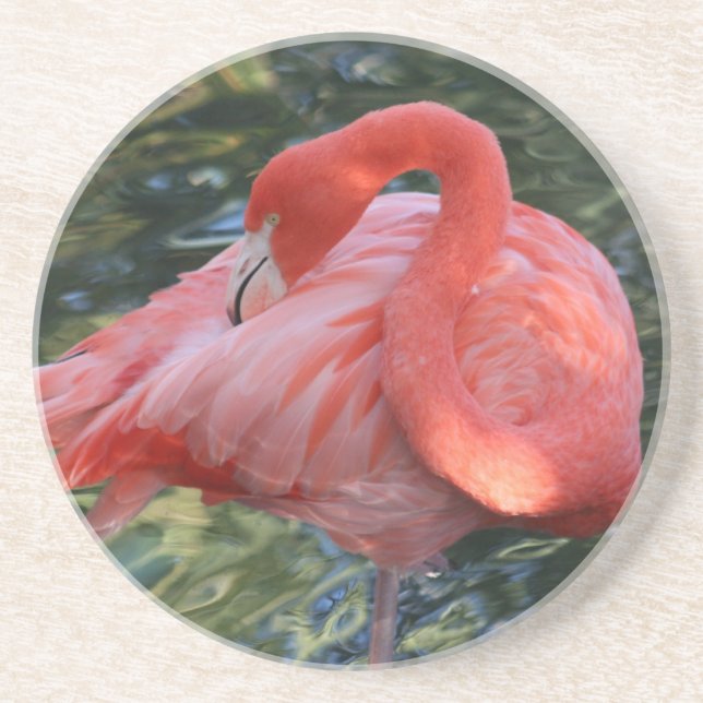 En Grès Dessous de verre roses magnifiques de Flamant rose (Devant)