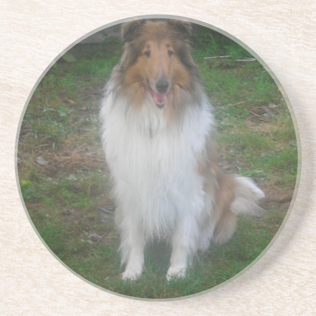 En Grès Dessous de verre Rough Sable Collie (Devant)