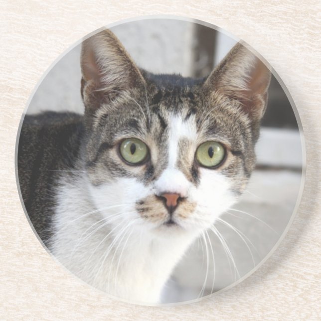 En Grès Dessous de verre Sandstone Cat (Devant)