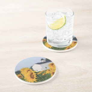 En Grès Dessous de verre Sandstone De La Ferme De Sunflowe