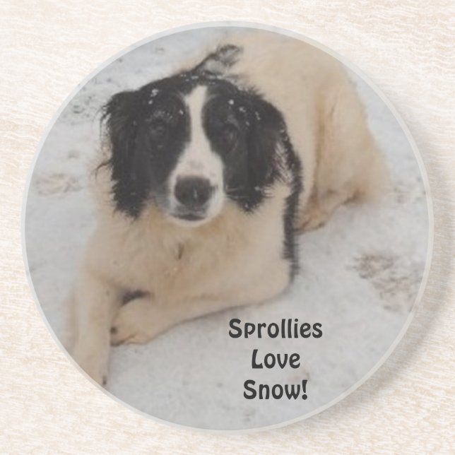 En Grès Dessous de verre Sprollie Dans La Neige (Devant)