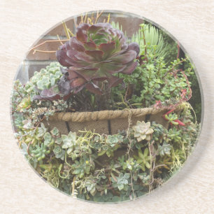 En Grès Dessous de verre succulents