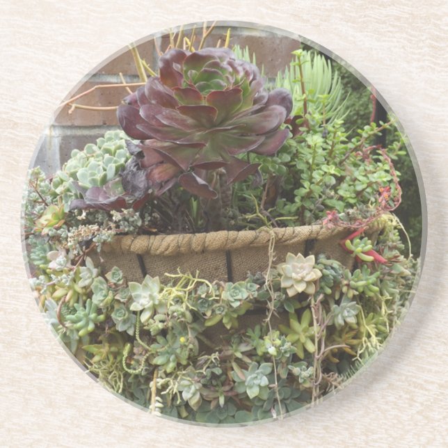 En Grès Dessous de verre succulents (Devant)