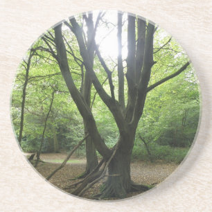 En Grès Dessous de verre Sunshine Woodland