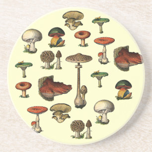 En Grès Dessous de verre vintages de guide de champignon