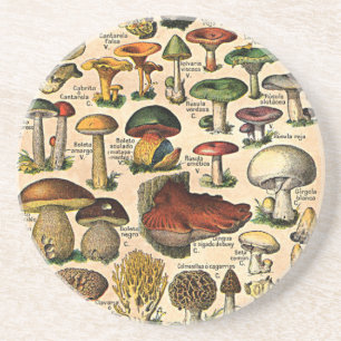 En Grès Dessous de verre vintages de guide de champignon