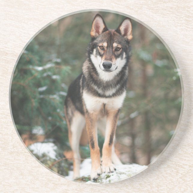 En Grès Dessous de verre Wolfdog (Devant)