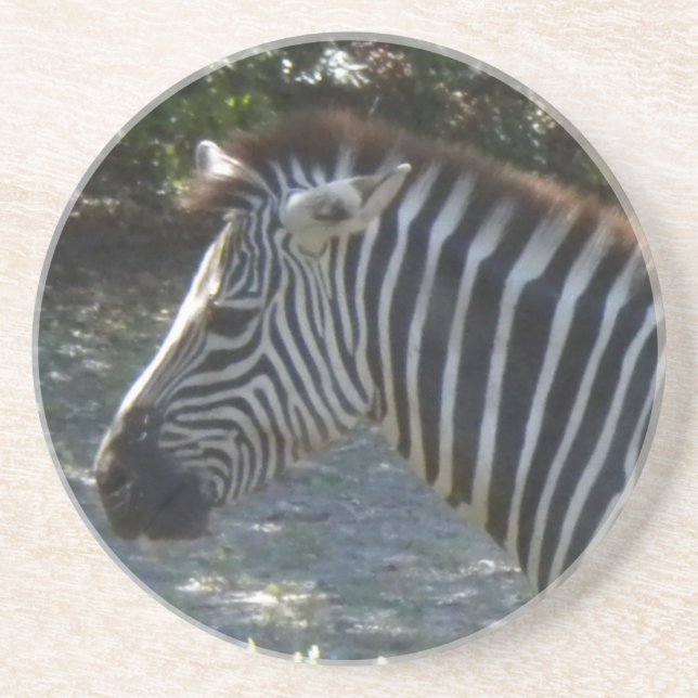 En Grès Dessous de verre Zebra (Devant)
