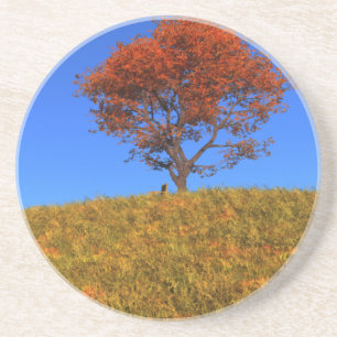 En Grès Effacer le Dessous de verre du jour d'automne
