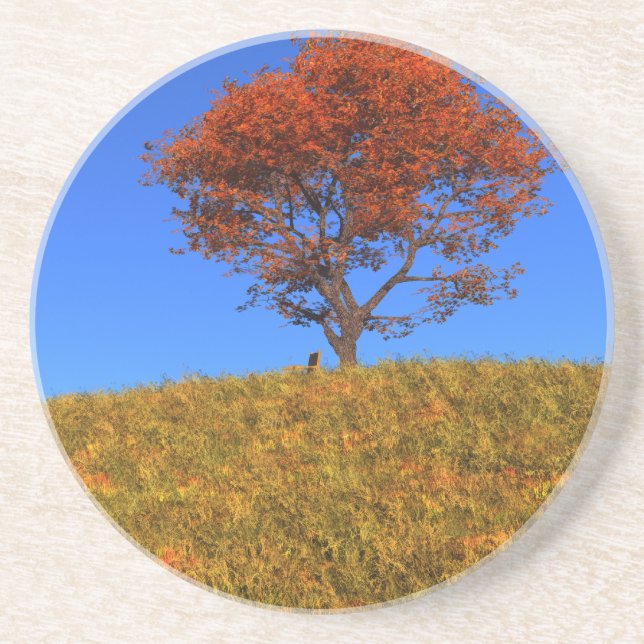 En Grès Effacer le Dessous de verre du jour d'automne (Devant)
