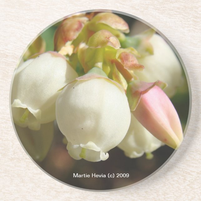 En Grès Fleurs bleuets - Dessous de verre (Devant)