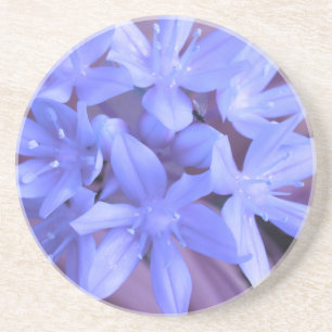 En Grès Gloire Des Dessous de verre Bleus De Neige