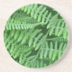 En Grès Green Fern Motif Nature Boire Dessous de verre