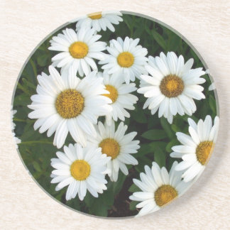 En Grès Groupe de dessous de verre de marguerites