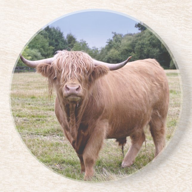 En Grès Highland Cow Dessous de verre (Devant)