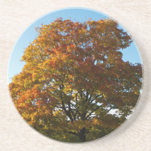 En Grès Jardin d'automne, Dessous de verre Russie de Saint
