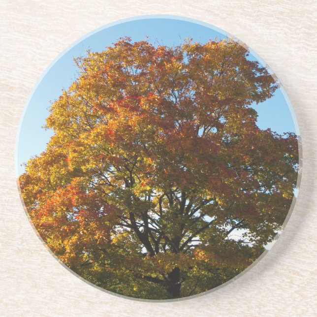 En Grès Jardin d'automne, Dessous de verre Russie de Saint (Devant)