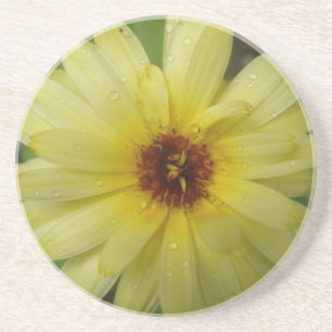 En Grès Jaune Raindrops Marigold Dessous de verre