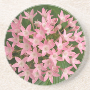 En Grès Joli Dessous de verre de fleurs tropicales roses