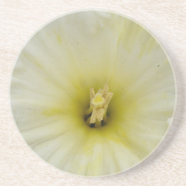 En Grès Joli Dessous de verre de jonquille pâle (Devant)