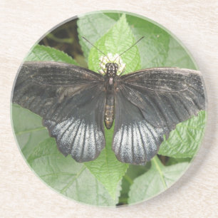 En Grès Joli papillon Tropical et Dessous de verre de fleu