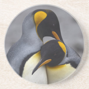 En Grès Le Roi pingouins dans des dessous de verre d'amour