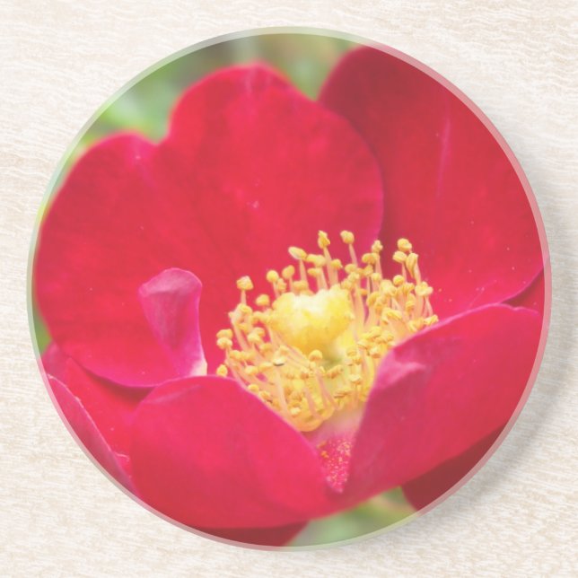 En Grès Les roses sont Dessous de verre rouges (Devant)