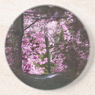 En Grès Lumière Sur Le Dessous de verre Naturel Path