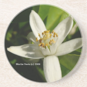 En Grès Orange Blossom - Dessous de verre