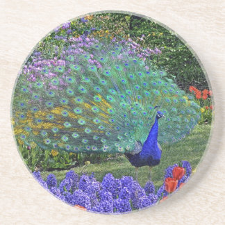 En Grès Paon dans des dessous de verre de Fowers #2