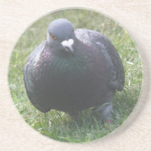 En Grès Poster des Dessous de verre de pigeon