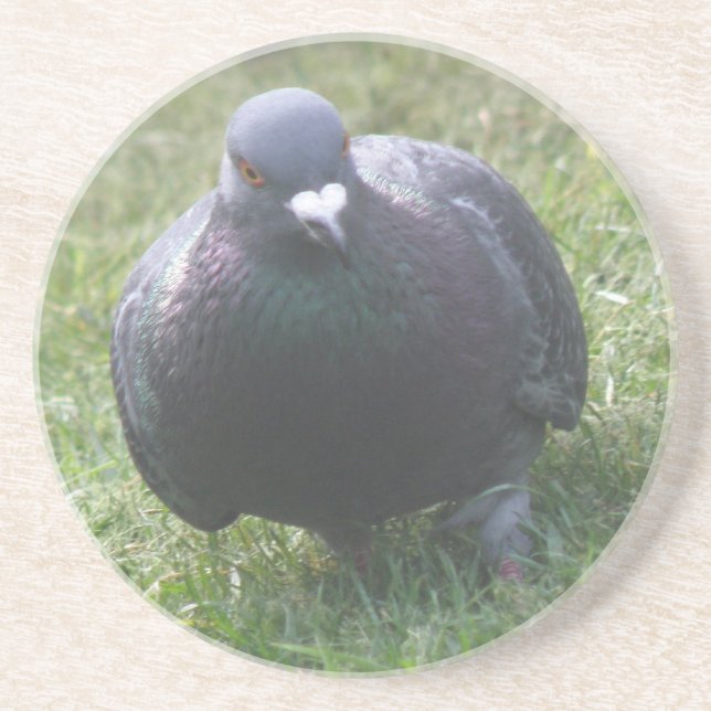 En Grès Poster des Dessous de verre de pigeon (Devant)
