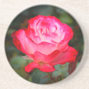 En Grès Rose Cherry Parfait #3 Dessous de verre Sandstone