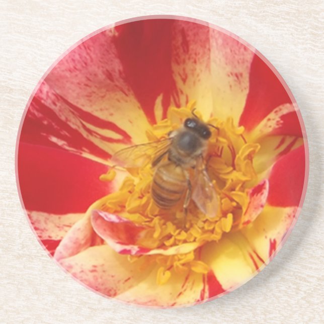 En Grès Roses rouges et dessous de verre d'abeilles (Devant)