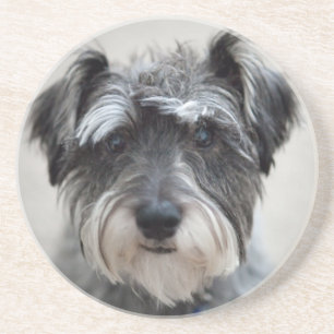 En Grès Schnauzer Chien Dessous de verre