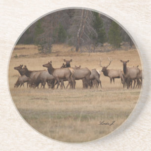 En Grès Série d'animaux — Elk dans le Dessous de verre sau