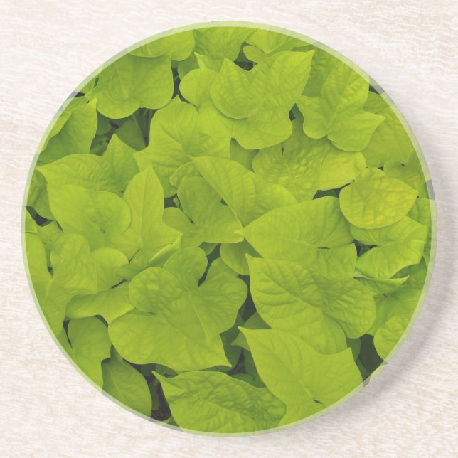 En Grès Série Plante/Fleur - Dessous de verre de la vigne  (Devant)