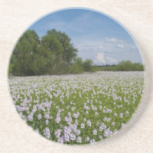 En Grès Série plante/Flower : Fleurs sur Dessous de verre