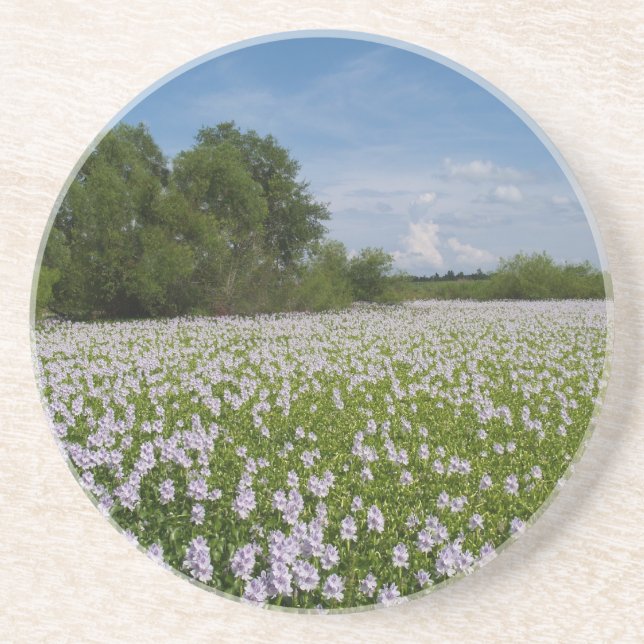 En Grès Série plante/Flower : Fleurs sur Dessous de verre  (Devant)