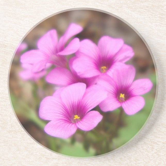 En Grès Sur mon Dessous de verre Porte (Devant)